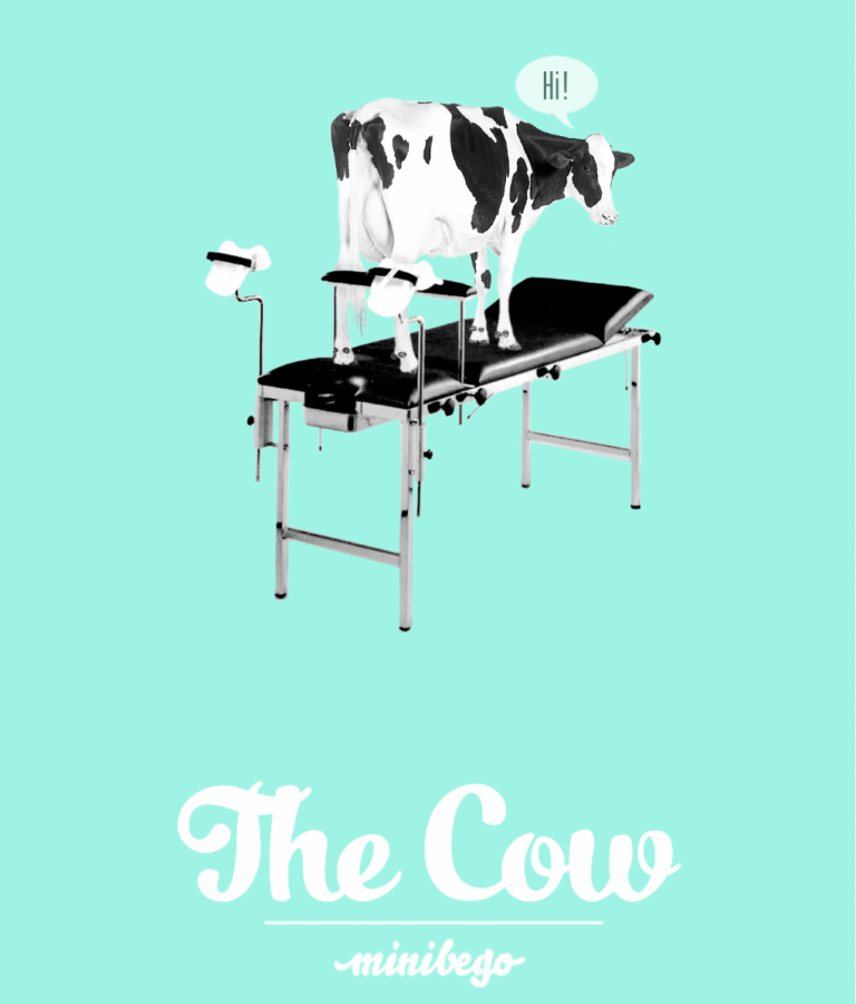The Cow